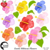 Tropical Hibiscus Flower Clipart Pack, {Best Teacher Tools
