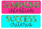 Tropical Learning Intention & Success Criteria