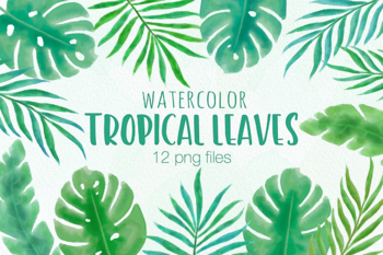 Tropical Leaves Illustration Original