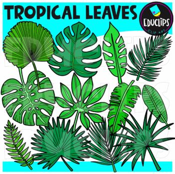 Tropical Leaves Clip Art Set {Educlips Clipart} by Educlips | TPT