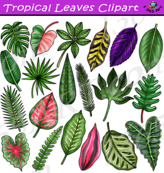 Preview of Tropical Leaves Clipart