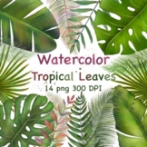 Tropical Leaves Watercolor Clipart png Greenery