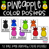 Tropical Pineapple Decor Color Posters