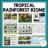 Tropical Rainforest Biome Characteristics Animals Layers I