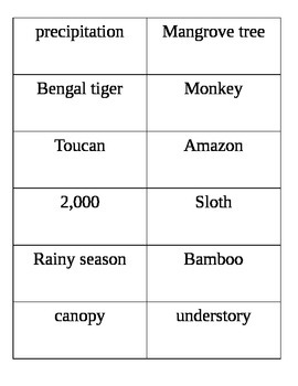 Preview of Tropical Rain Forest Vocabulary cards