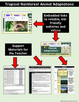 Tropical Rainforest Animal Adaptations Google Slides® Notebook | TPT