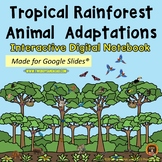 Tropical Rainforest Animal Adaptations Google Slides® Notebook