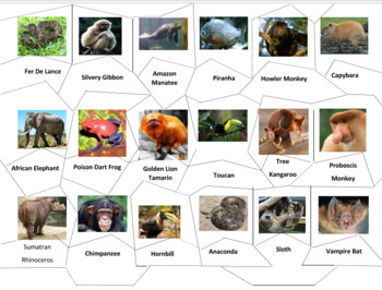 Tropical Rainforest Animals Jigsaw Puzzle by Ah - Ha Lessons | TPT