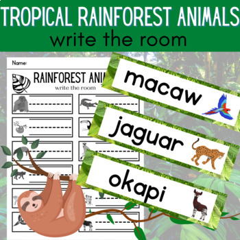 Tropical Rainforest Animals Write the Room Habitat Content Vocabulary  Activity