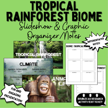 Preview of Tropical Rainforest Biome Slideshow + Notes/Graphic Organizer/Research Activity