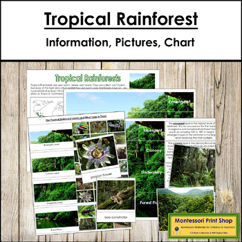 Preview of Tropical Rainforest - Information, Sorting Cards & Control Charts