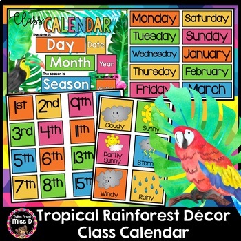 Tropical Rainforest Class Calendar by Tales From Miss D | TpT