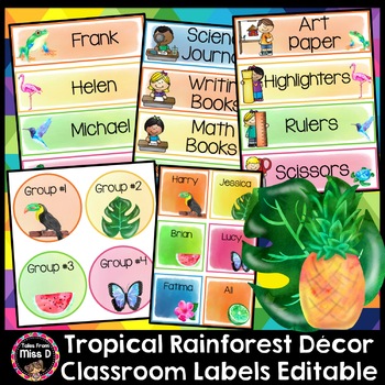 Preview of Tropical Rainforest Classroom Labels Editable