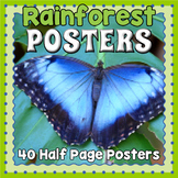 Tropical Rainforest Posters