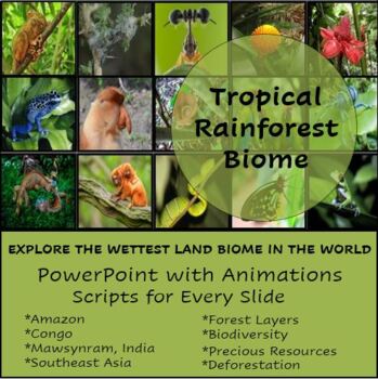 Preview of Tropical Rainforest Powerpoint with Script and Animations