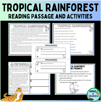 Rainforests activity