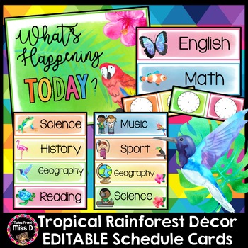 Preview of Tropical Rainforest Visual Timetable/Schedule Cards EDITABLE