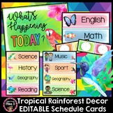 Tropical Rainforest Visual Timetable/Schedule Cards EDITABLE