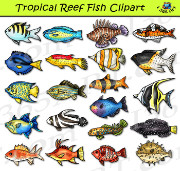 Exotic colorful tropical fish fishes collection set isolated. Stock Vector