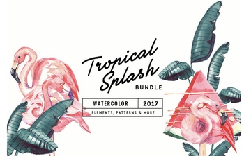 Preview of Tropical Splash