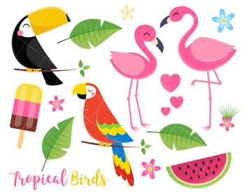 Download Tropical Summer Clipart Toucan Birds Flamingo Parrot Tropical Plants