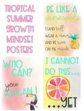 Tropical Summer Mindset Posters