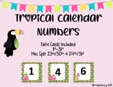 Tropical Theme Calendar Numbers