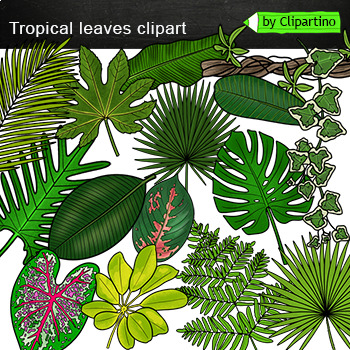 Preview of Tropical leaves Clip Art commercial use/ Palm leaf Clip Art