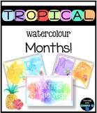 Tropical watercolour themed months of the year display