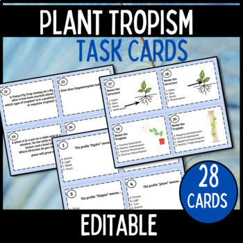 Preview of Tropism Task Cards Middle School