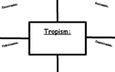Tropisms Graphic Organizer