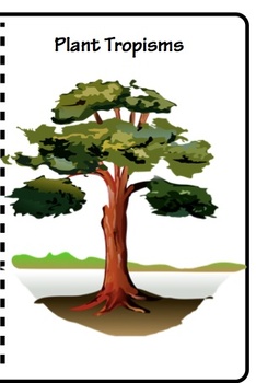 Preview of Tropisms NGSS Lesson