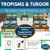 Tropisms and Turgor Pressure Student-Led Station Lab