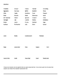 True Diary of a Part-Time Indian Adjectives/Descriptive Worksheet