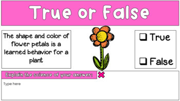 Flower Traits Slideshow