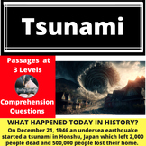 Tsunami Differentiated Reading Passage