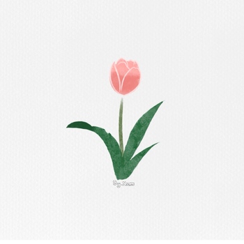 Preview of Tulip