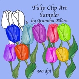 Tulip Clip Art Sampler