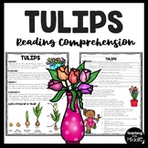 Tulips Informational Passage Reading Comprehension Workshe