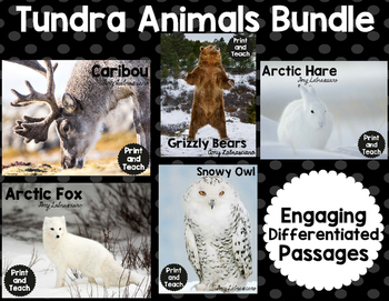 Tundra Animals Reading Passage Bundle by Amy Labrasciano | TPT