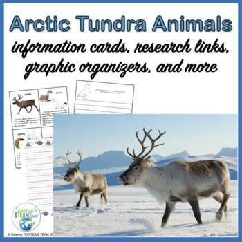 Preview of Tundra Animals Information Cards and Research Project