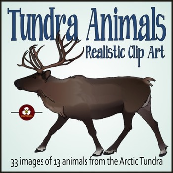 Arctic Tundra Animals Realistic Clip Art by UtahRoots | TPT
