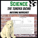 Tundra Biome Animal Matching Worksheet