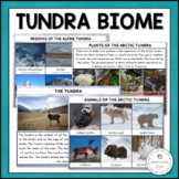 Tundra Biome - Characteristics, Animal and Plant Adaptatio