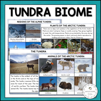 Tundra Biome - Characteristics, Animal and Plant Adaptations Montessori