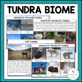 Preview of Tundra Biome - Characteristics, Animal and Plant Adaptations Montessori