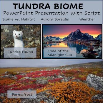 Preview of Tundra Powerpoint with Script