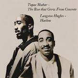 Langston Hughes - Harlem - Tupac - The Rose that Grew from