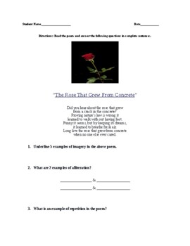 Preview of Tupac's "The Rose from Concrete" Poem & Questions
