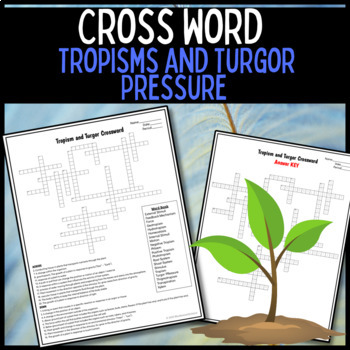 Preview of Turgor Pressure Tropisms Crossword | Middle School Science 